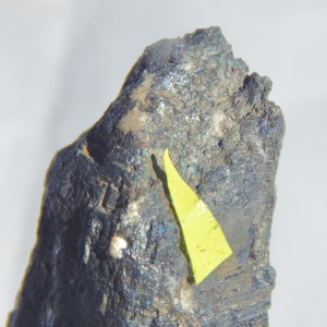 GOLD ON STIBNITE - HILLGROVE